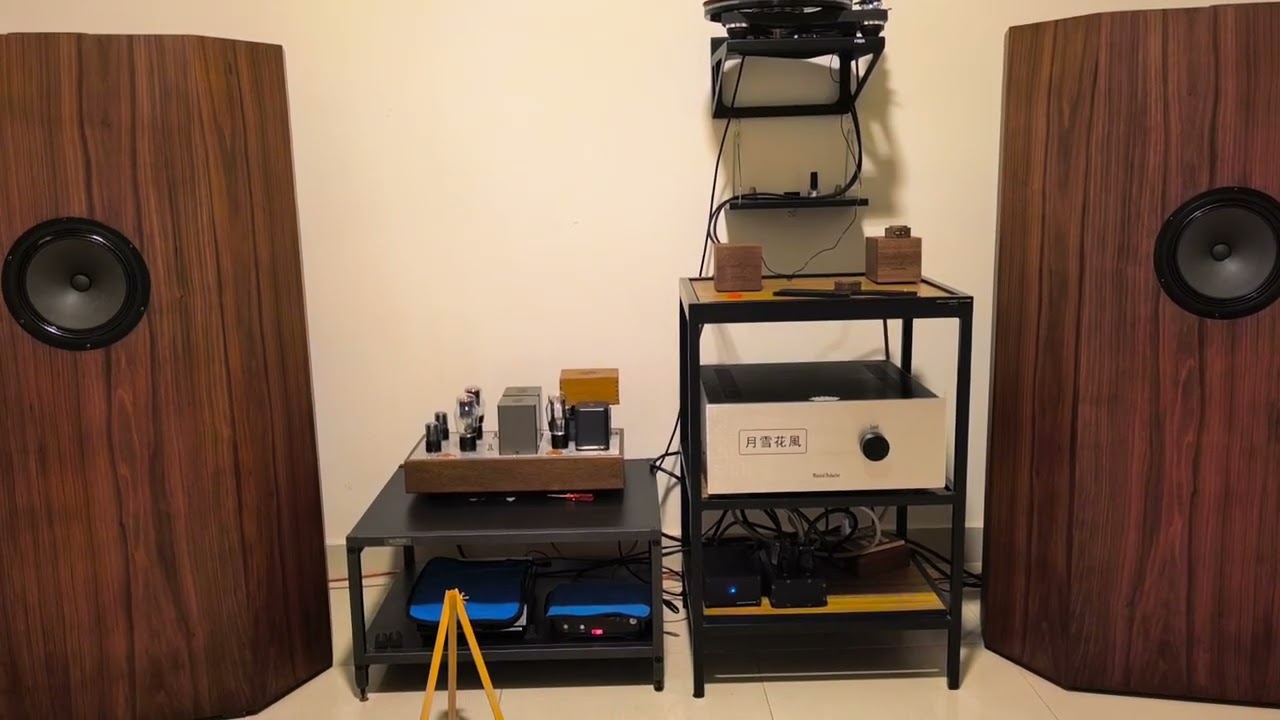 47 Labs ARARE 4752 CR Type MM Phono Amp