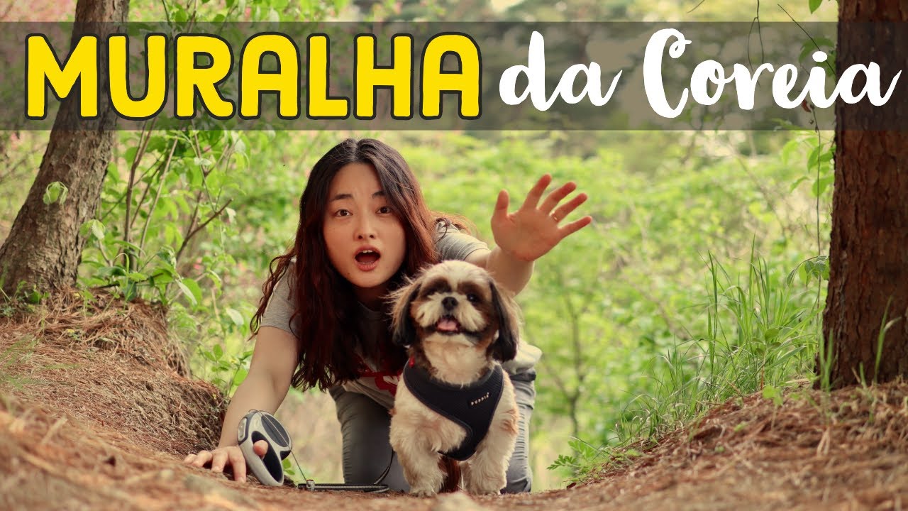 A MURALHA DA COREIA ONDE NOSSOS PAIS SE CONHECERAM