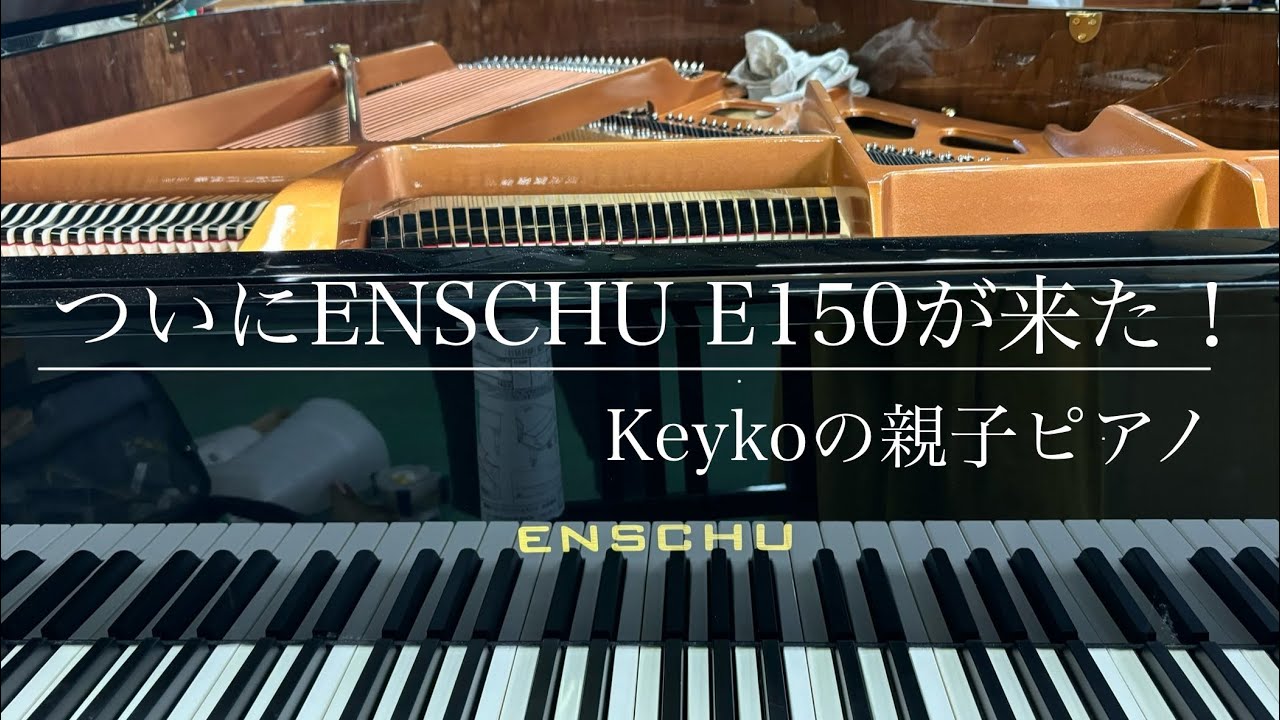 ついにENSCHU E150が来た！