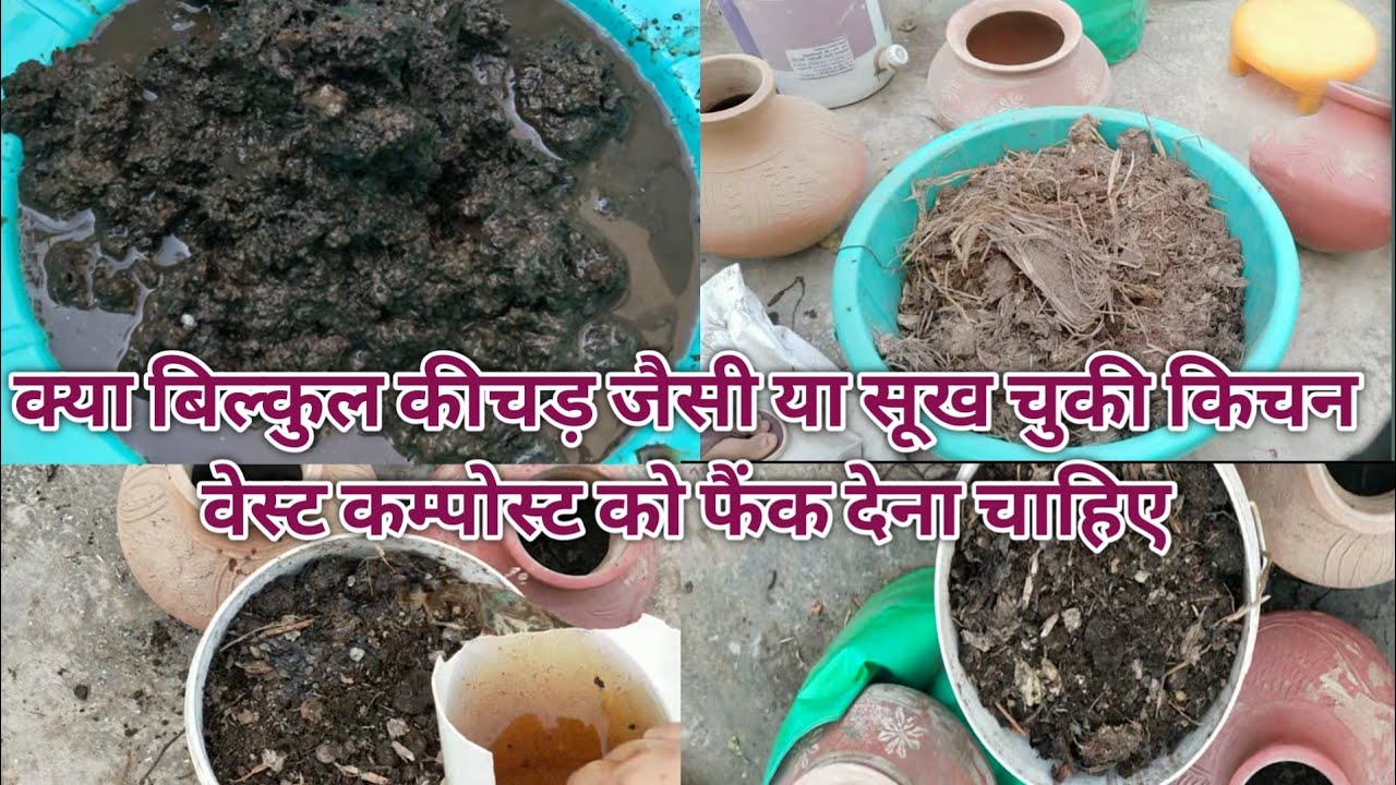 मैंने बिल्कुल सूख चुकी किचन वेस्ट कम्पोस्ट को कैसे ठीक किया👍Update of kitchen waste compost
