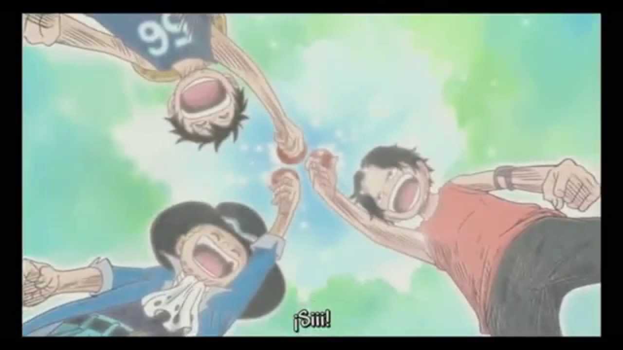 One Piece AMV   A Life Without Regrets