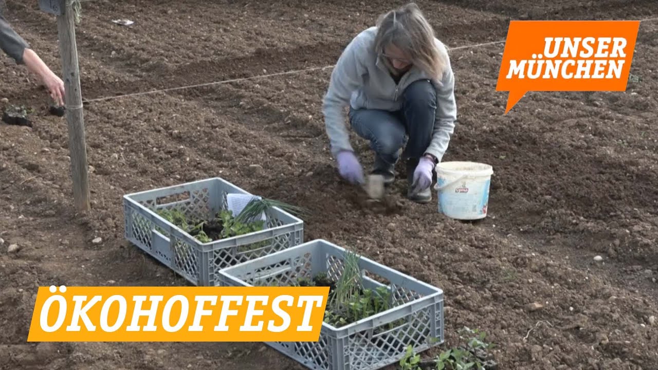 Ökohoffest und Kräutergärten im städtischen Gut Riem