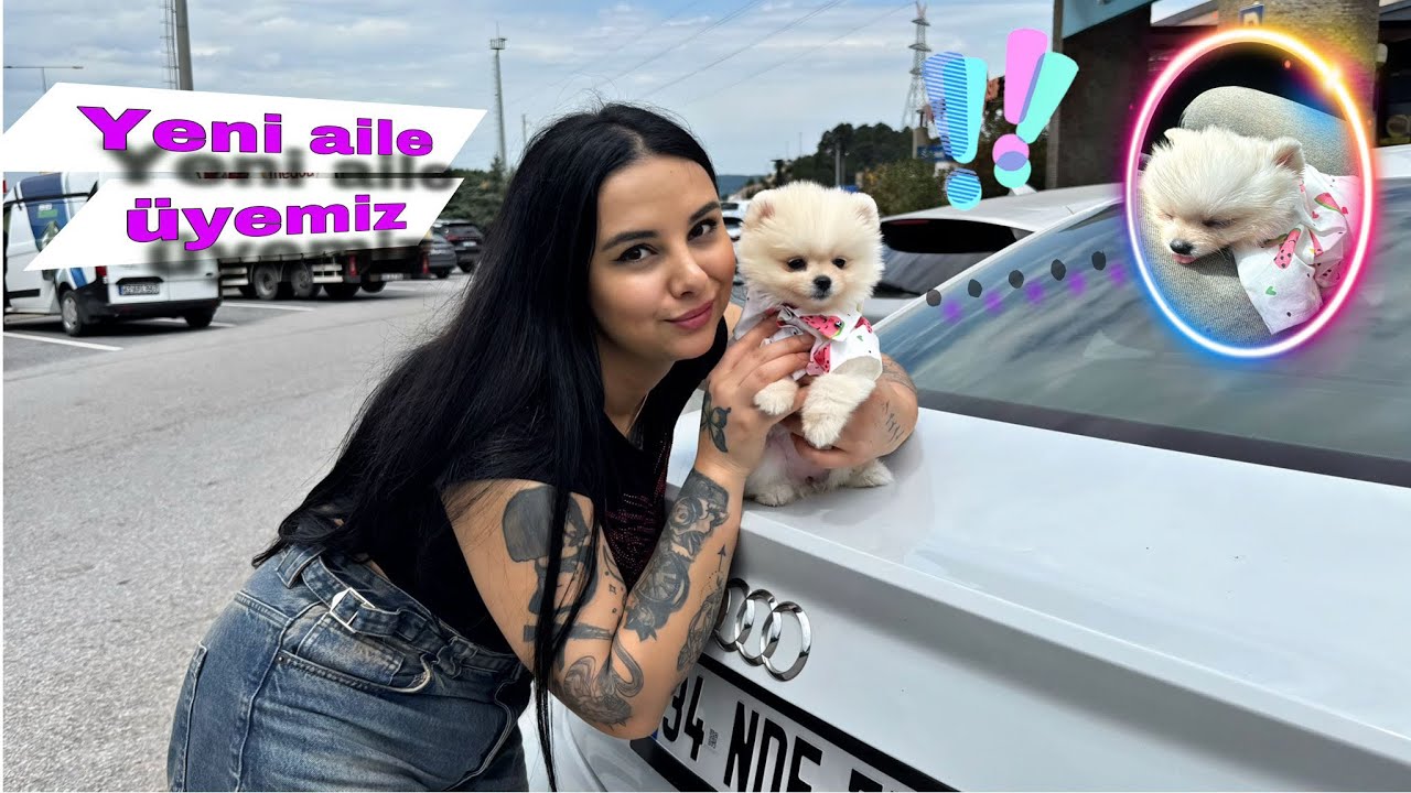SÜPRİZ EVCİL HAYVAN  ALDIM BEBEK LOLA 🐶 🥹