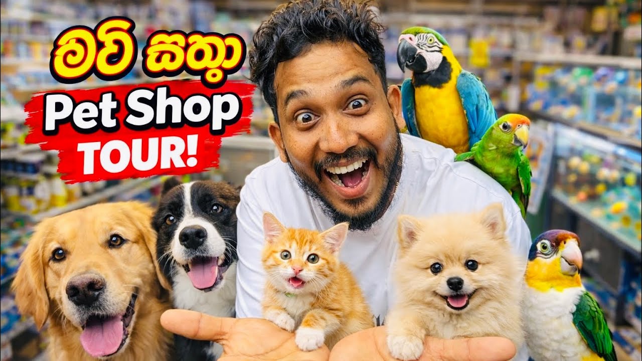 🐾 Exploring Sri Lanka’s Biggest Pet Shop! 🐶🐱 Amazing Animals & Pet-Friendly Experience ❤️