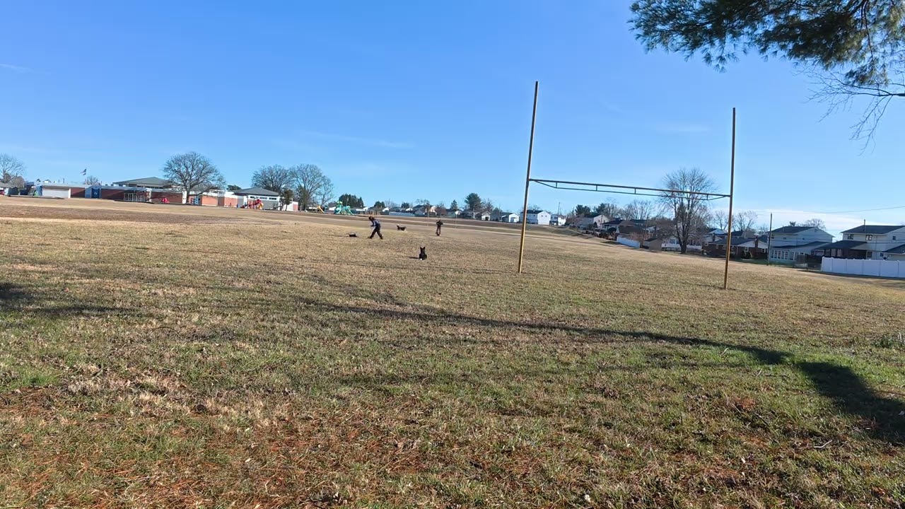 Train to Adopt: Brittany Session #4: Play