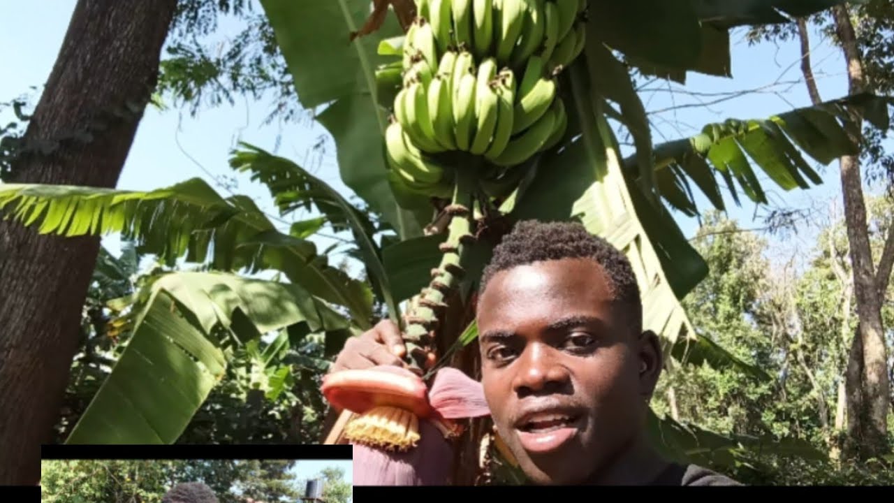 You won’t believe this! 👀 See how we earn money from these things. 💵