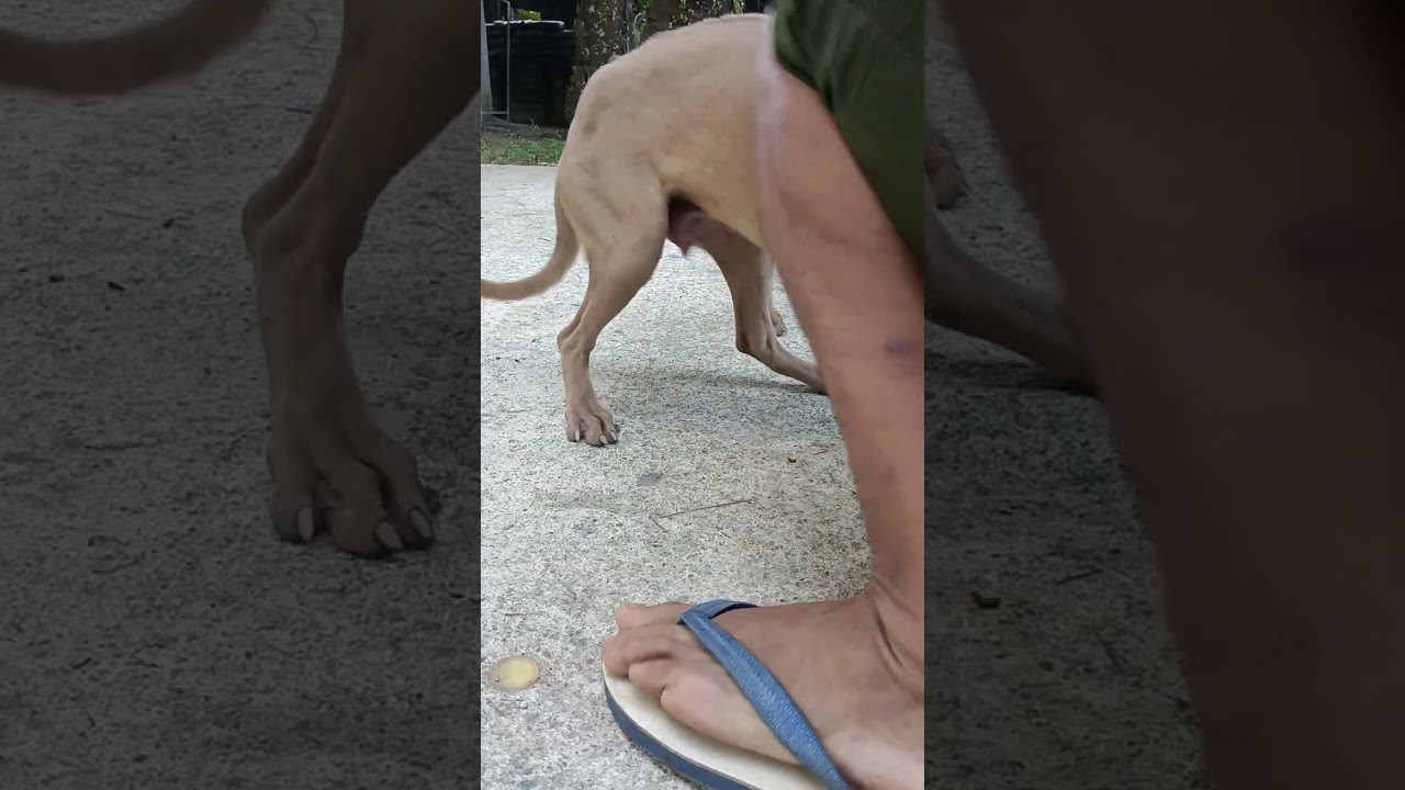 ขอบคุณยาและอาหารของFCและพี่สาวมากๆนะครับผมขอให้สุขภาพแข็งแรงมีแต่สิ่งดีๆเข้ามาในชีวิตครับผม