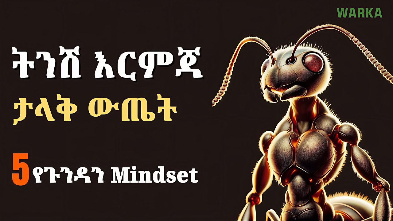 ትንሽ ነገር ቢኖራችሁም ትልቅ ህልም ማሳካት ትችላላችሁ | የጉንዳን አስተሳሰብ | Ant Mindset