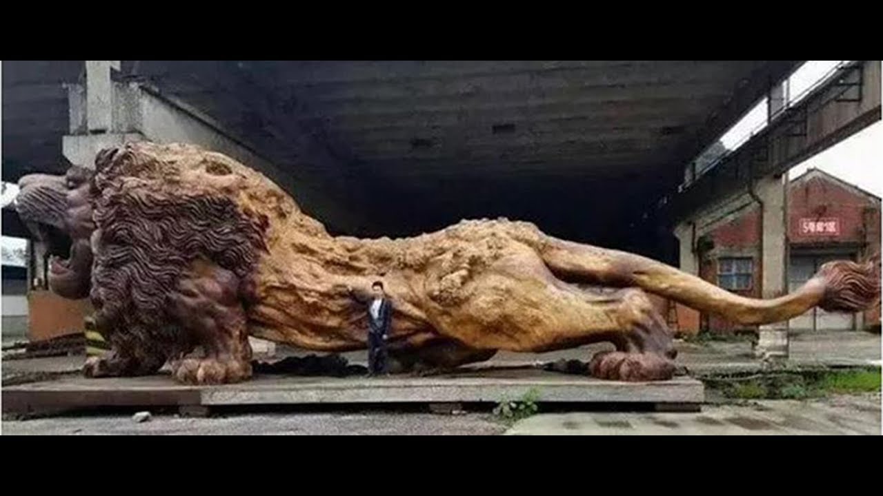 80-year-old widower in Oregon loses $200K in catfish romance scam