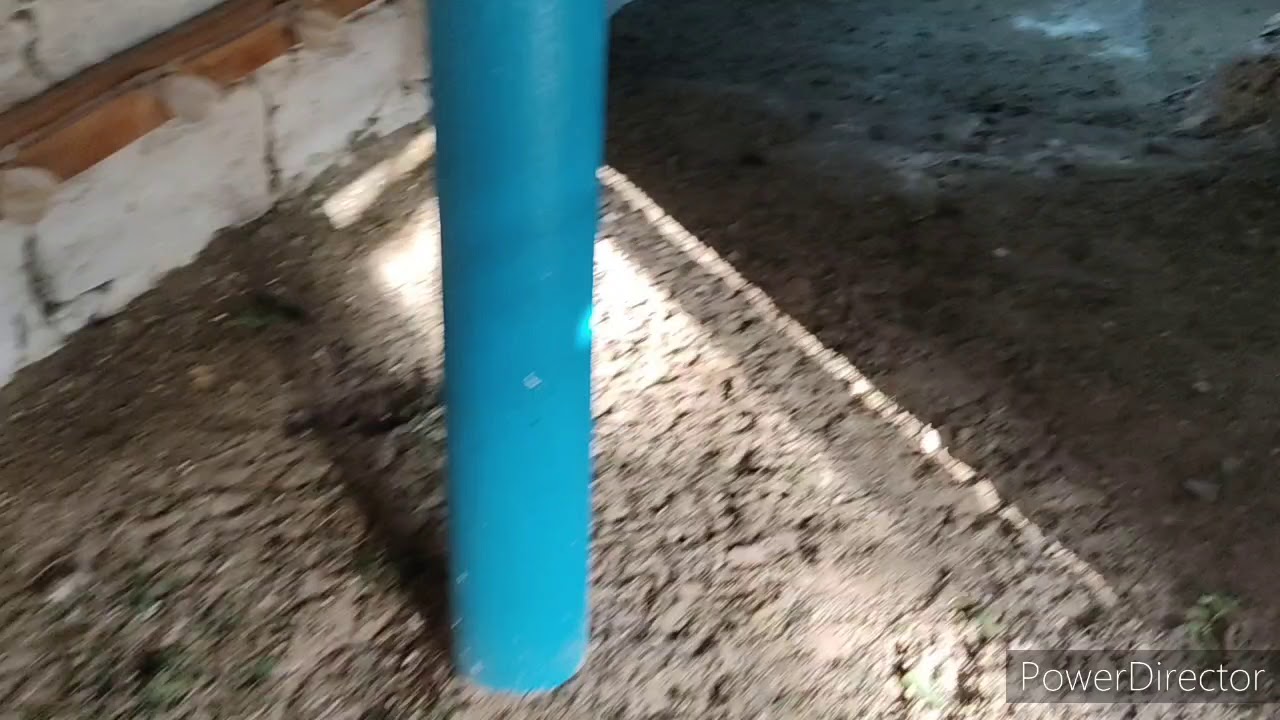 Rekord yumurta verimi