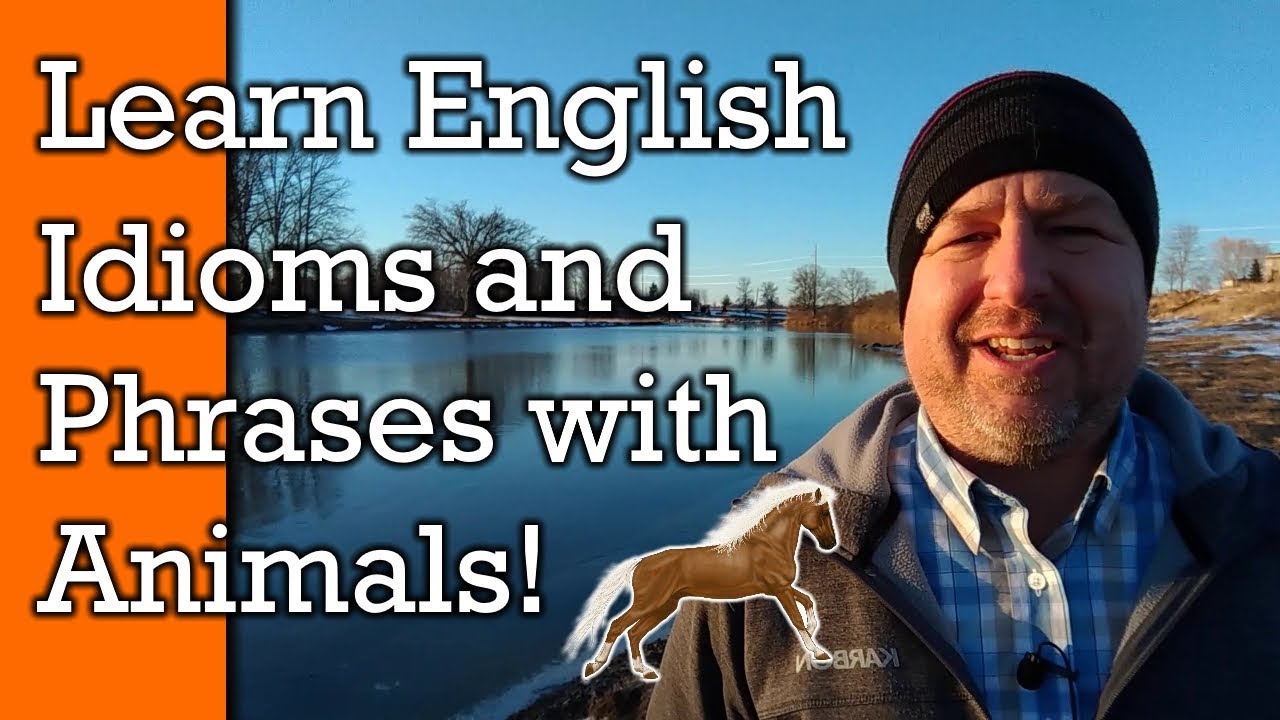 Animal Idioms!  Learn English Idioms, Phrases and  Expressions with Animals