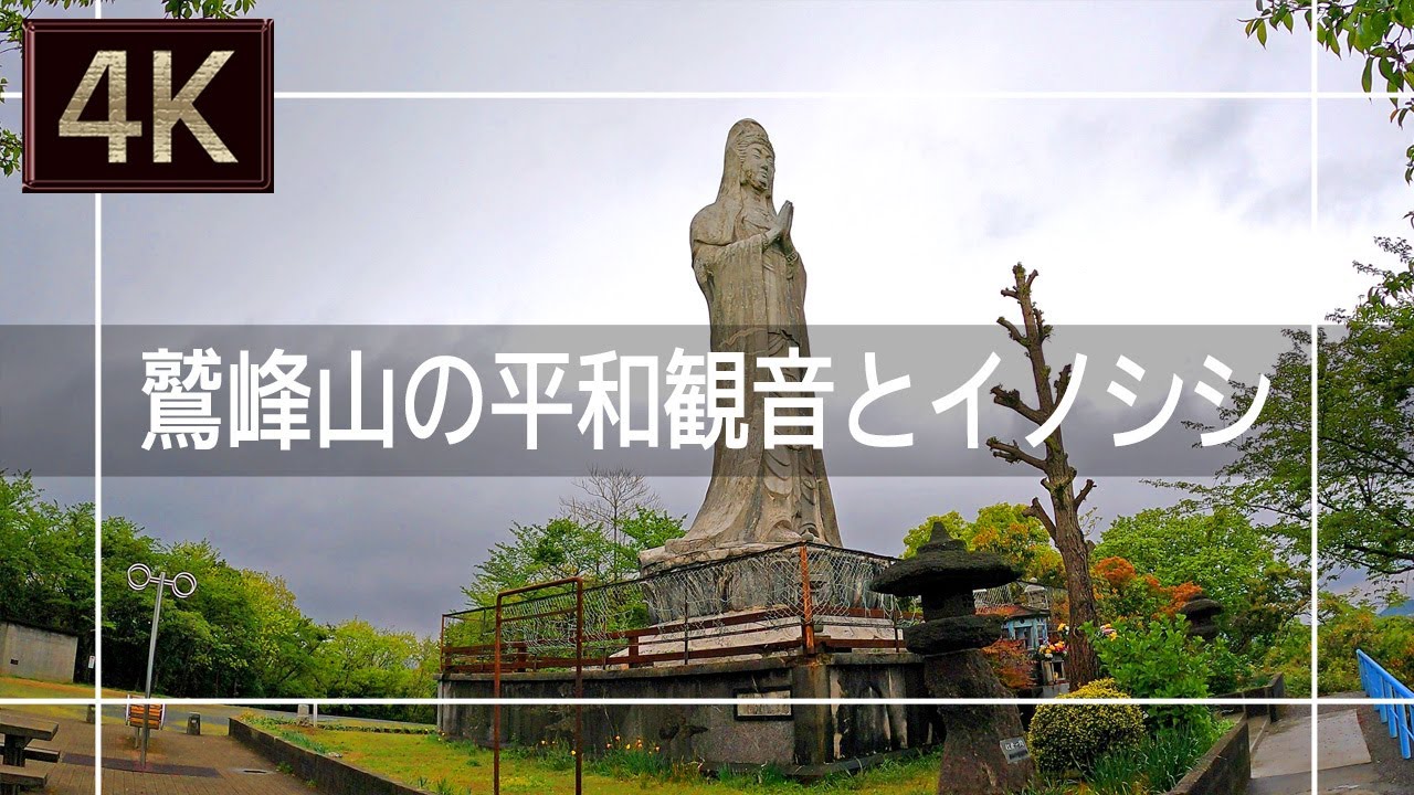 【2021年4月】鷲峰山の平和観音まで歩いてみたらイノシシに遭遇した【4K】