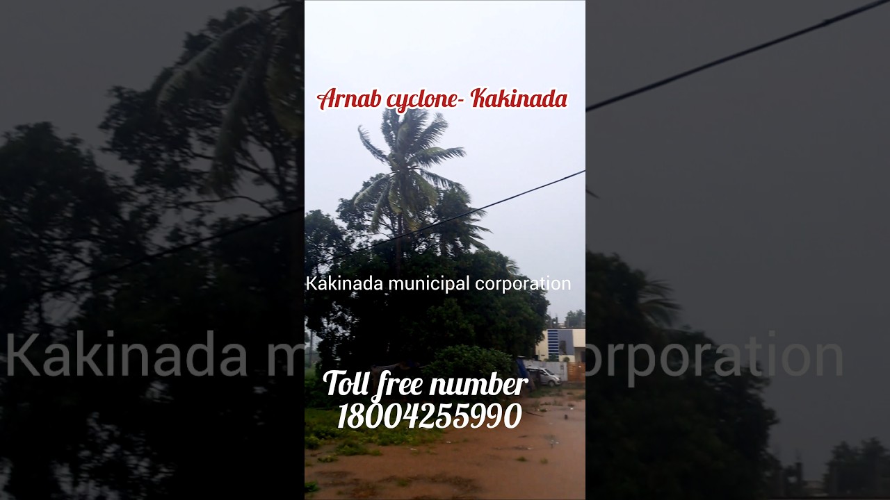 Arnab cyclone