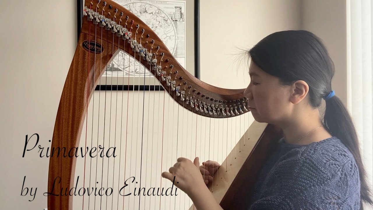 Ludovico Einaudi's 