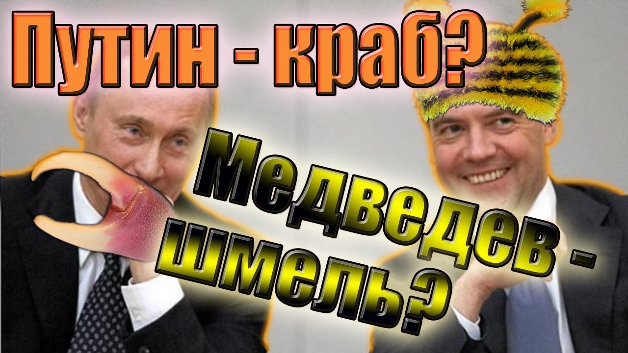 Почему Путин - краб и ест детей, а Медведев - шмель?