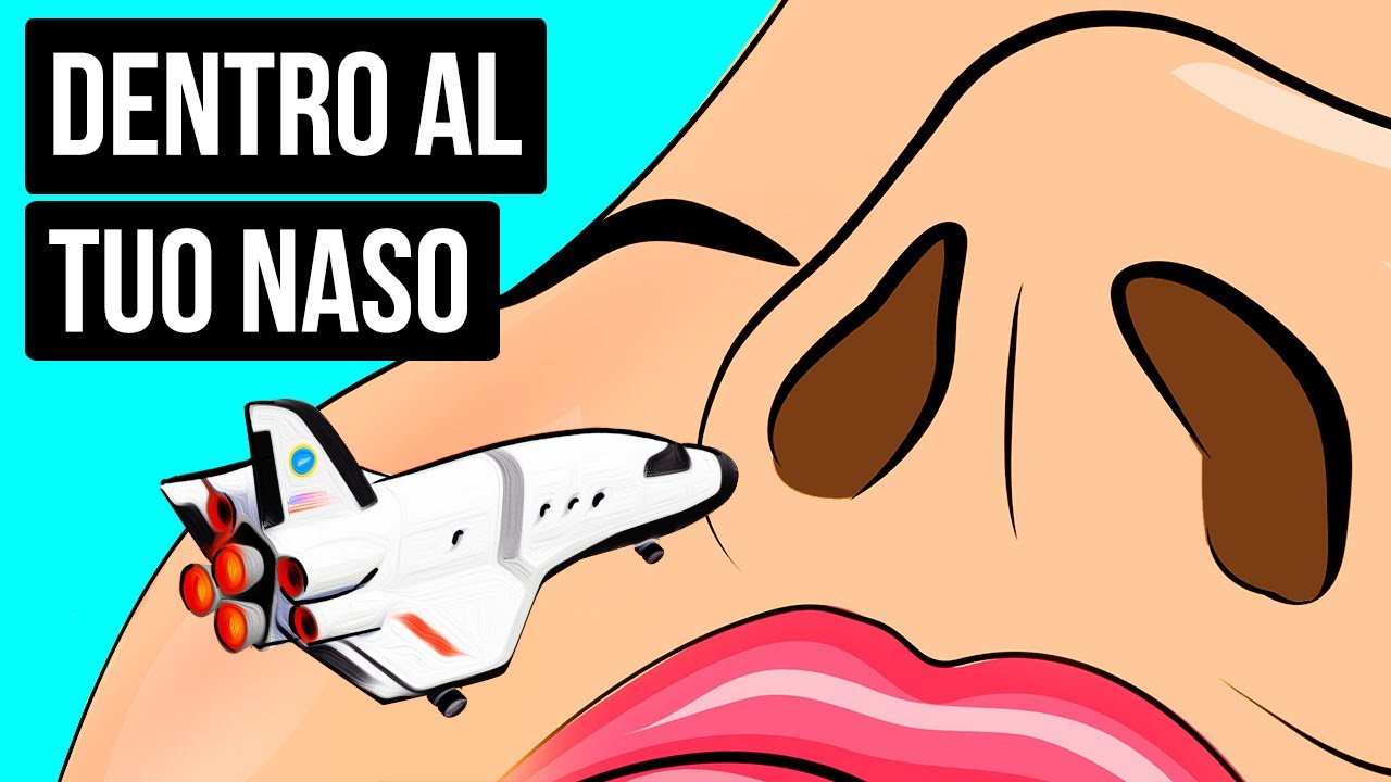 Un Viaggio Dentro al Naso per Vedere come Funziona l’Olfatto