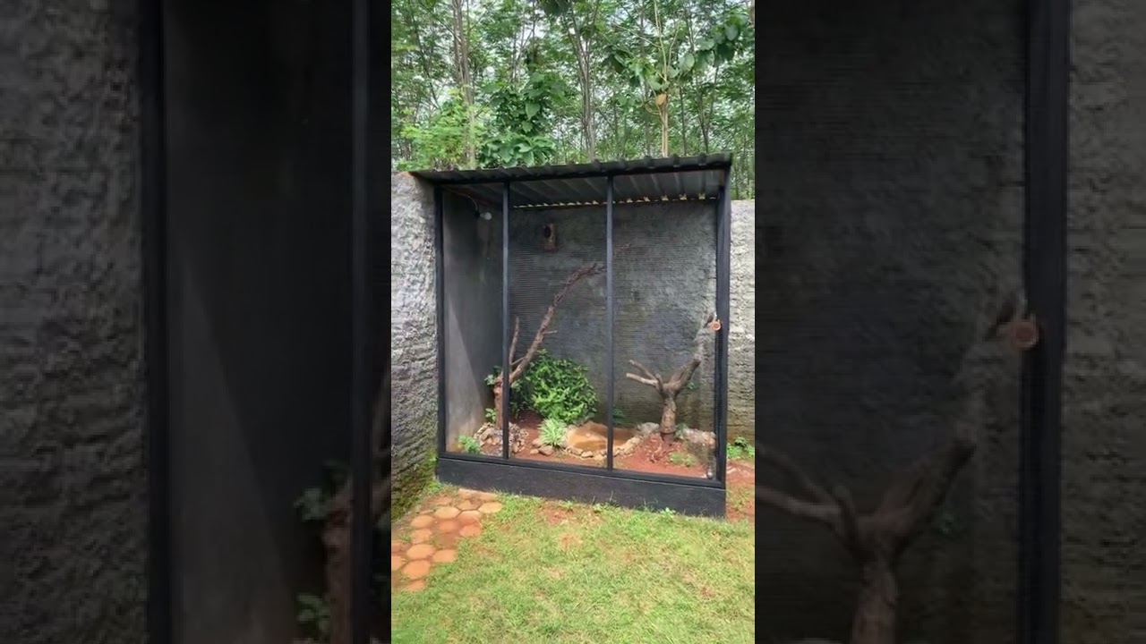 Aviary minimalis