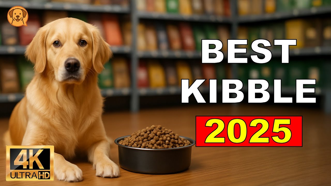 Top 6 Best Dog Kibbles of 2025 (Ranked from Good to Ultimate)