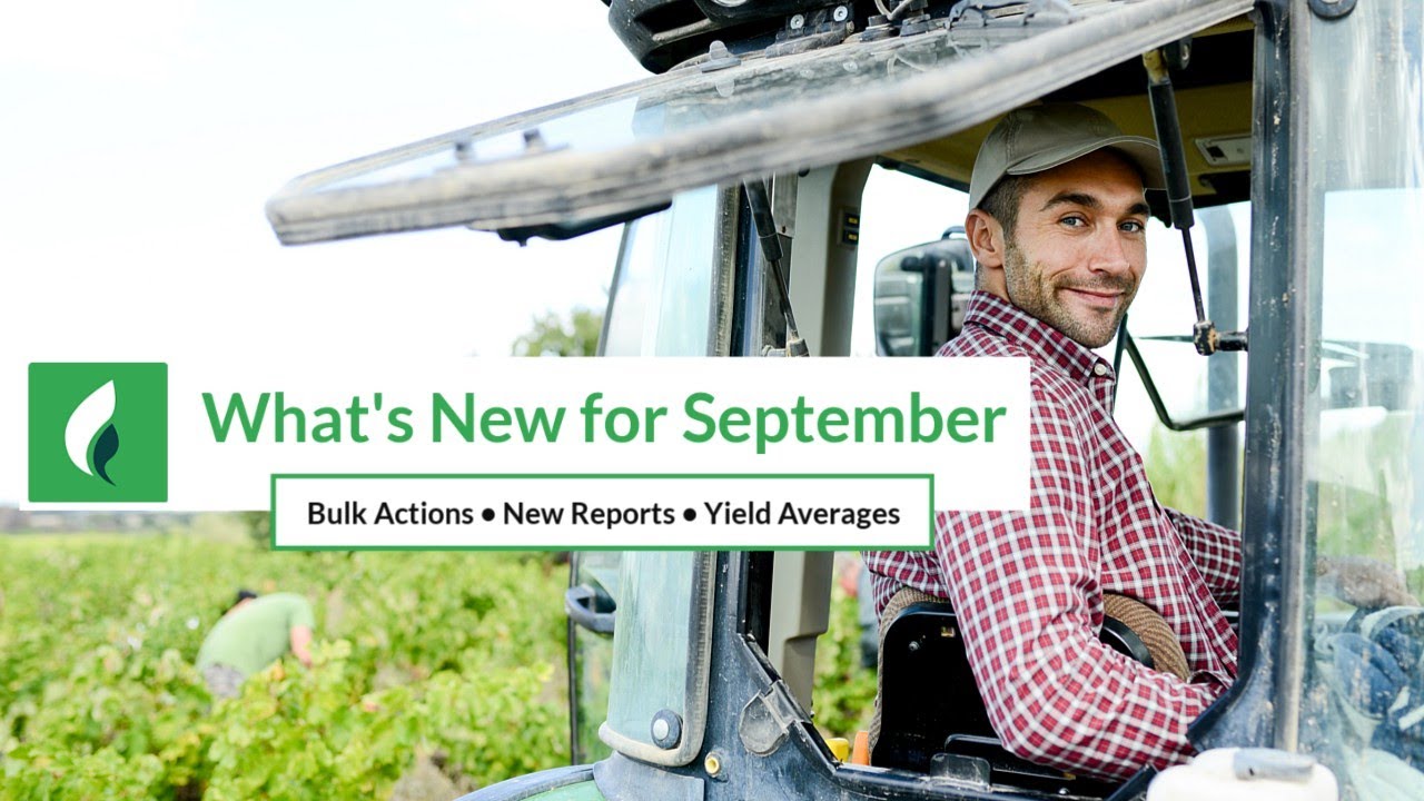 What's New for September 2025