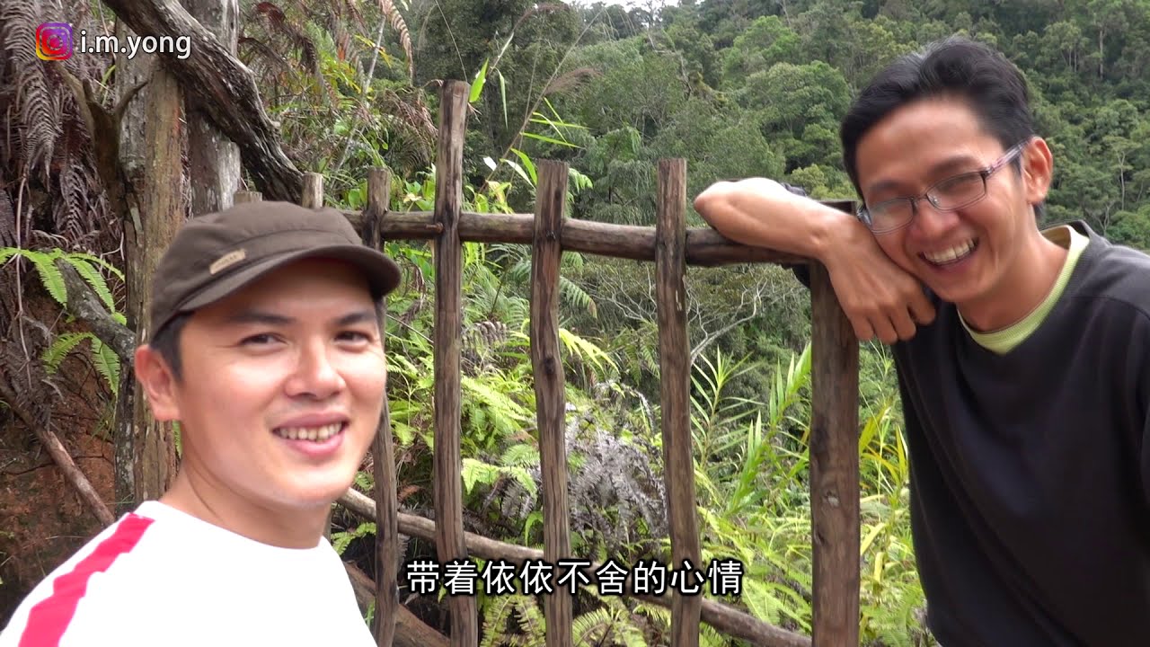 金馬倫和平樹屋 - 三天兩夜《二 》Cameron Highlands - Terra's Tree House (Part 2)