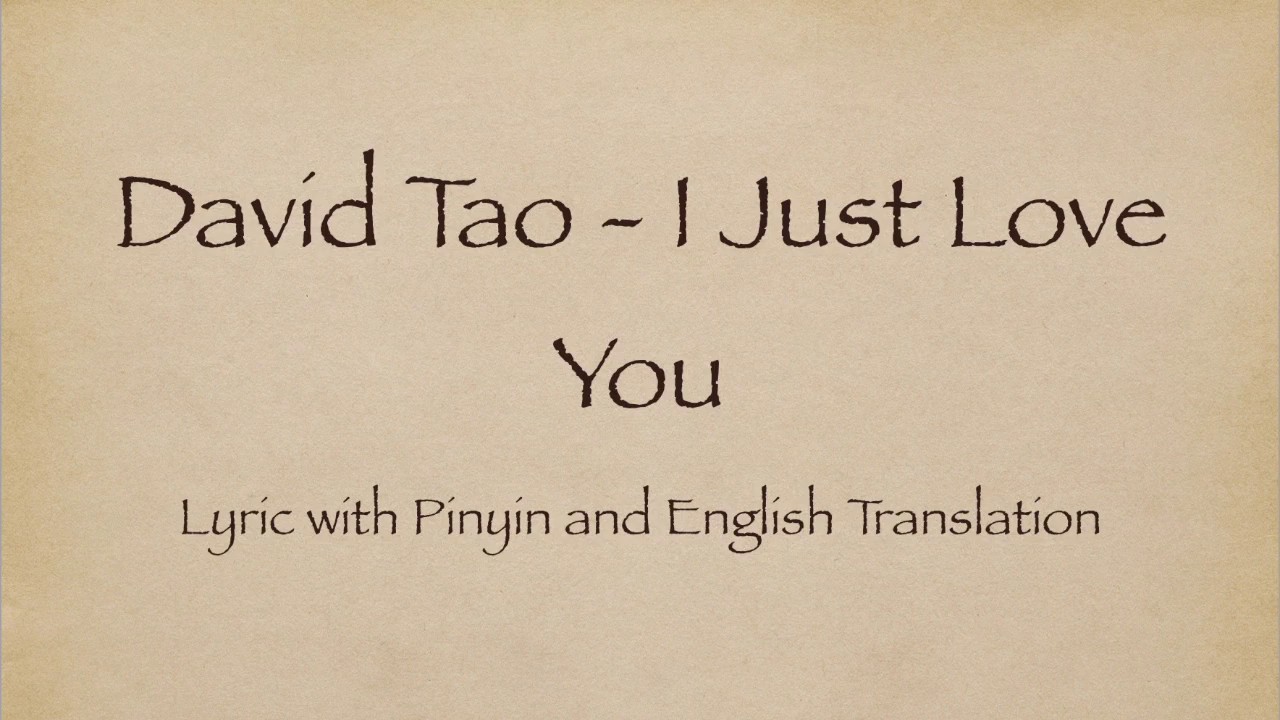 David Tao 陶喆 - I Just Love You 就是爱你 with Pinyin and English Translation