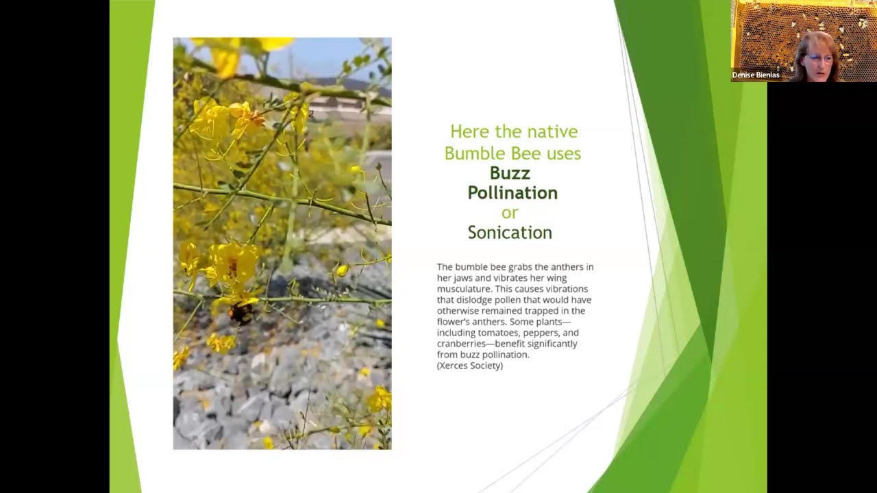 Pollen Quantity and Quality by Plant