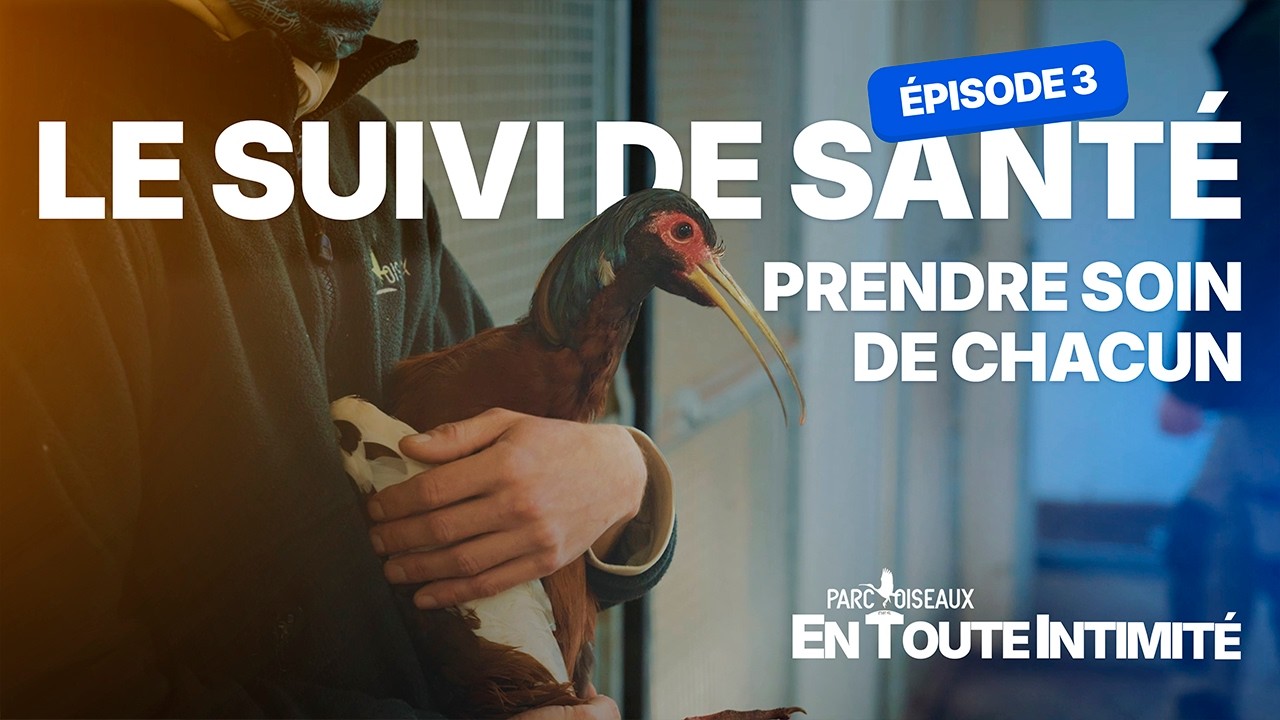 En toute intimité - Le suivi de santé