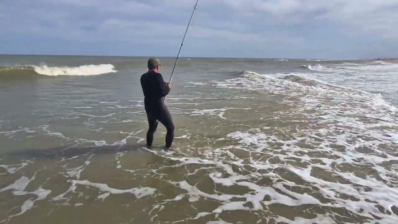 Captura de Chuchazo raro en Punta Médanos.