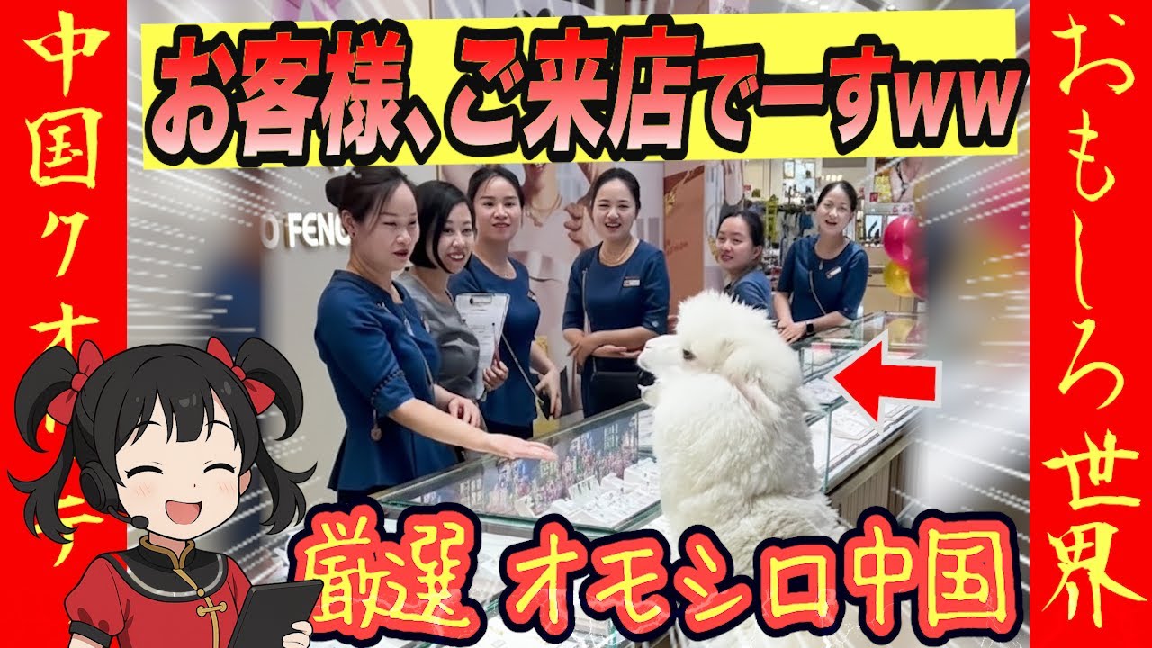 【厳選 オモシロ中国】中国の日常は予想外すぎて草ww　#オモシロ #中国の日常 #爆笑 #コント