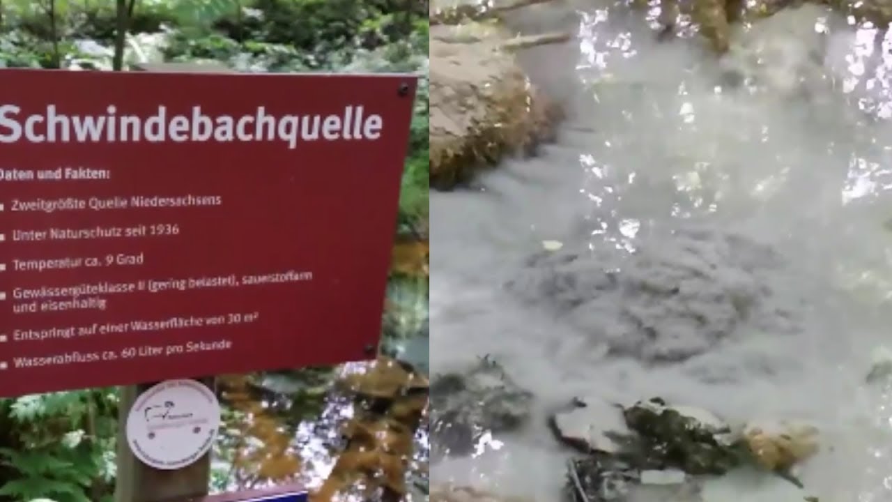 Schwindebachquelle in der L&uuml;neburger Heide bei Amelinghausen