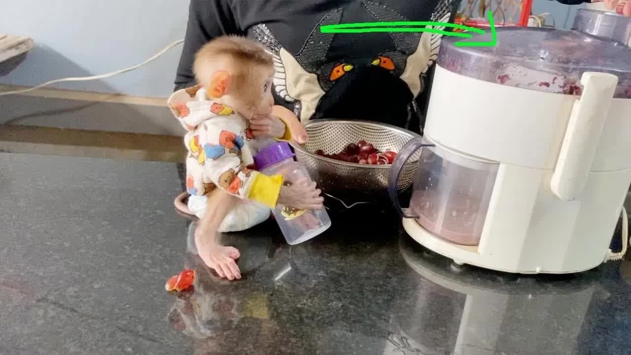 BB DAM Ready To Hold Bottle Wait Mom Making Fresh Grape Juice For Him