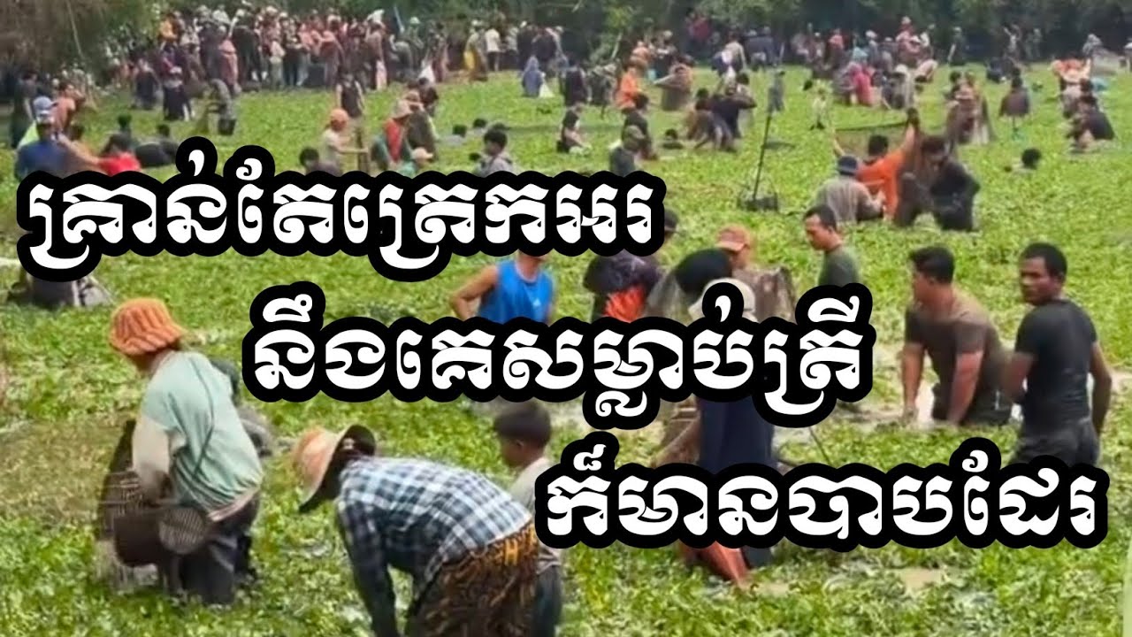 គ្រាន់តែត្រេកអរនឹងគេសម្លាប់ត្រីក៏មានបាបដែរ NouSambathOfficial