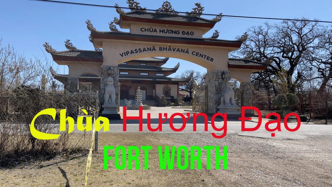 Chùa Hương Đạo Với Hoa Anh Đào Nở Đỏ Rực Ở Fort Worth | HUONG DAO Buddhist Temple, Fort Worth Texas.