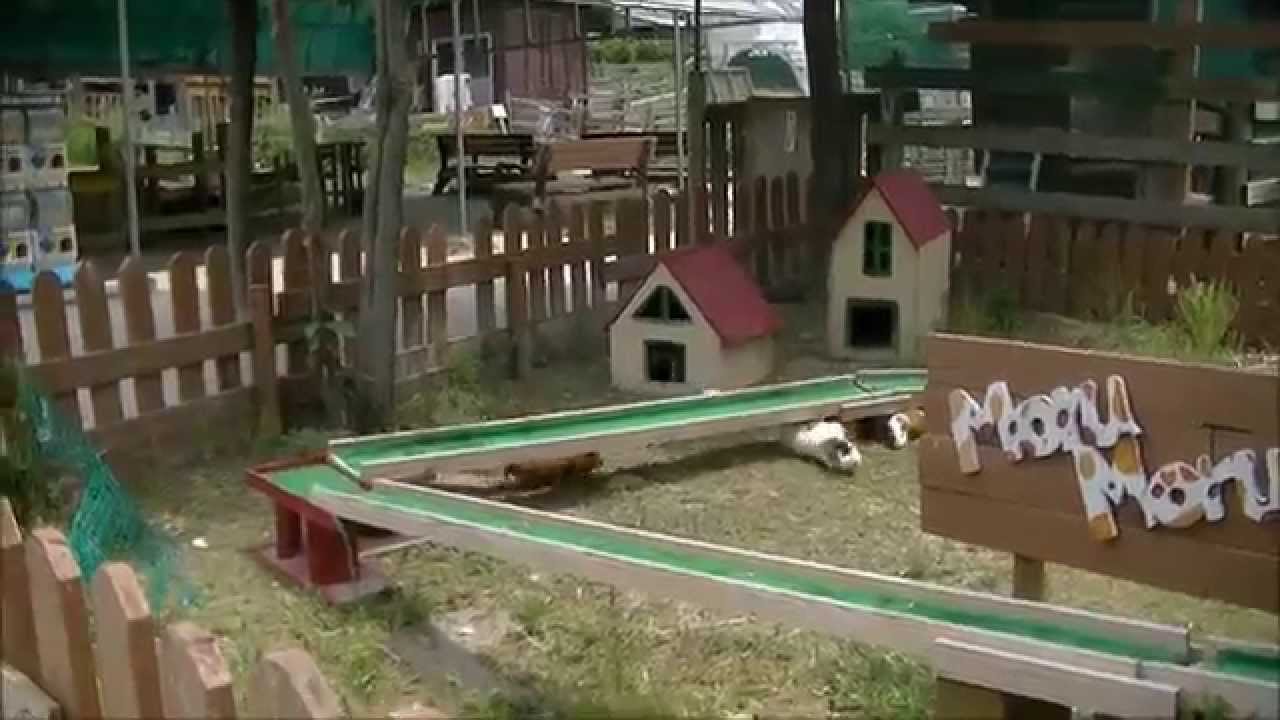愛知牧場