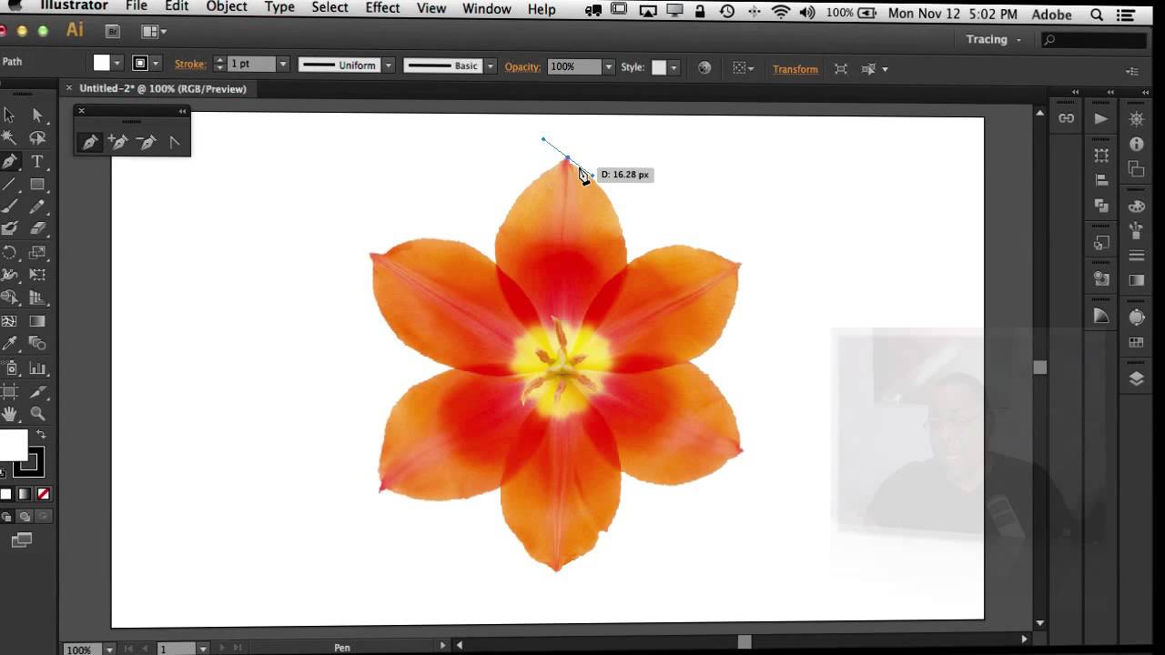 How To Use The Pen Tool in Adobe Illustrator, Photoshop and InDesign CS6