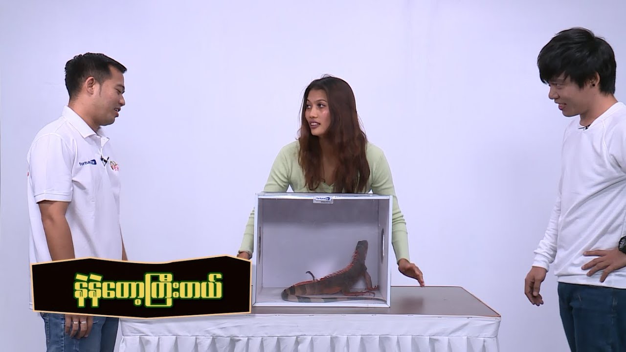 ကိုင်ကြည့် [ ကျော်သီဟ ၊ ဂျက်စီကာ ဒါဒါ ]Fun with Celebrities