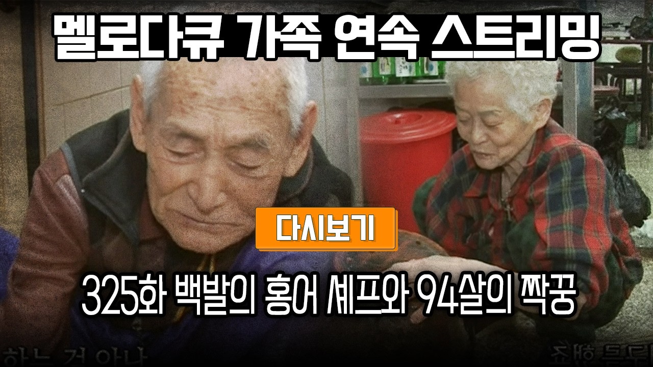 [다시보기] OBS 다시 보는 멜로다큐 가족 325화 백발의 홍어 셰프와 94살의 짝꿍 (풀영상)