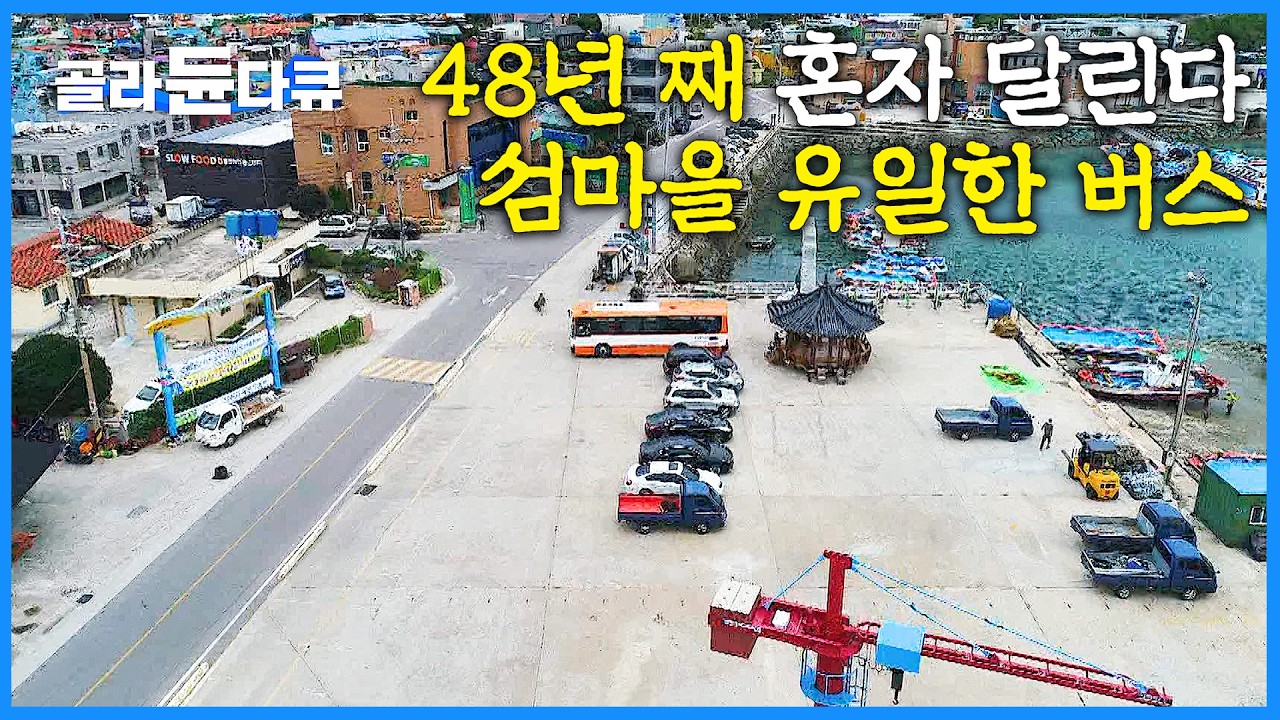 이제는 무료! 48년 째 아침부터 저녁까지 나홀로 청산도 달리는 버스기사｜한국기행｜#골라듄다큐