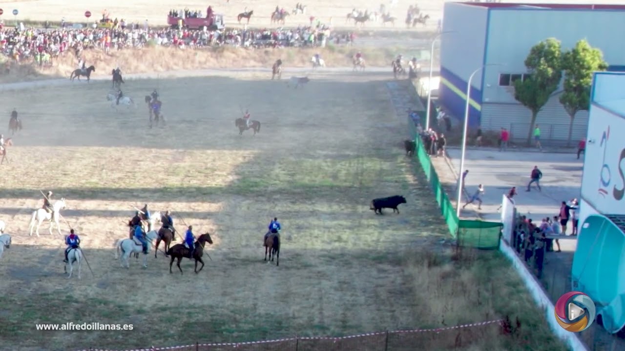 ⚡ PELIGROSO 4º 🐂 ENCIERRO EN CUÉLLAR A VISTA DE PÁJARO 🚁