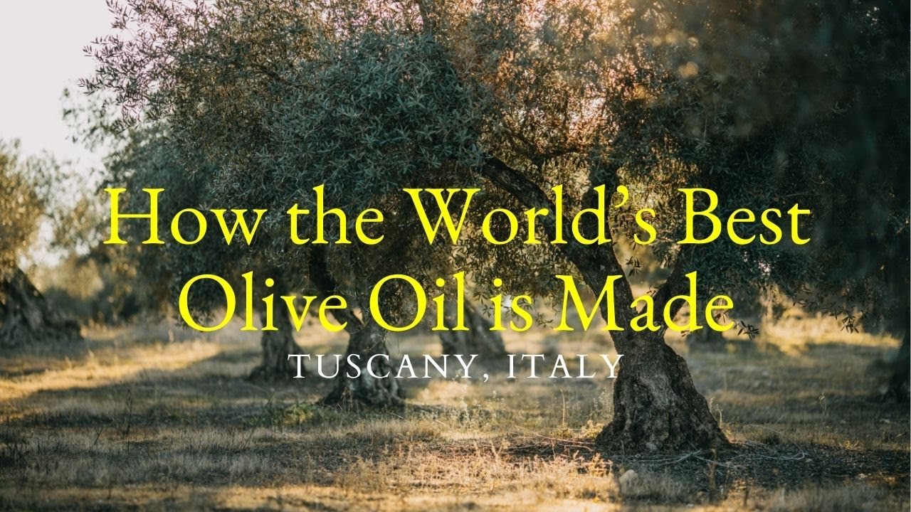 2024 Olive Harvest in Tuscany, Italy | How It's Made