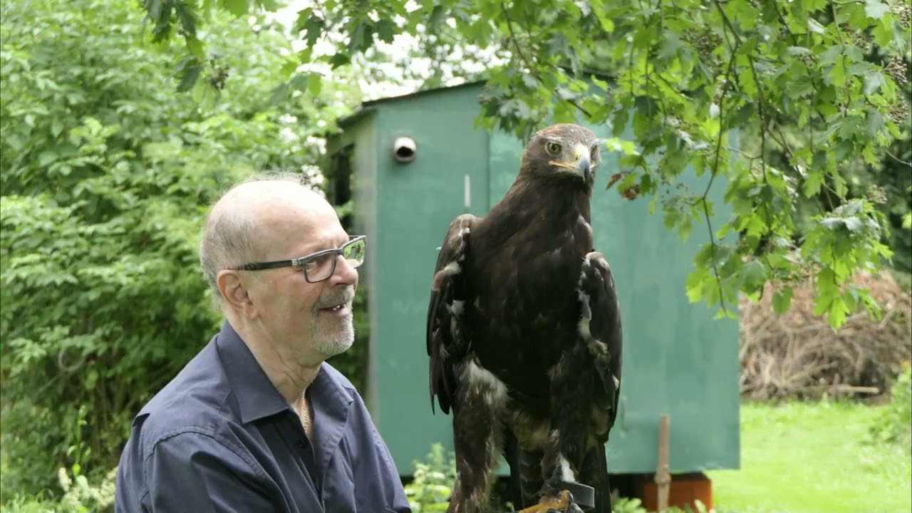 V264 Bildmomente auf dem Falknerhof Süderholz 23,31Min 2,42GB 2025