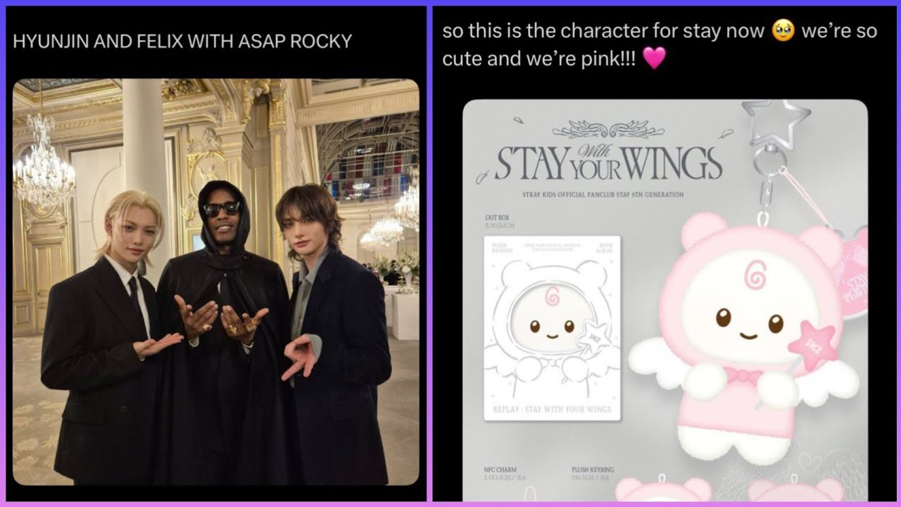 STRAY KIDS Memes only STAY's can UNDERSTAND!💜