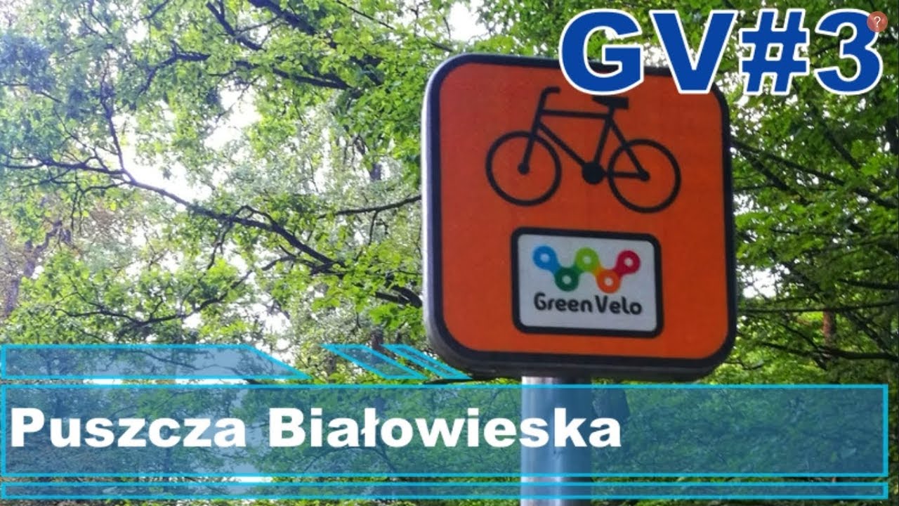 GV#3 Green Velo rowerem. Puszcza Białowieska.