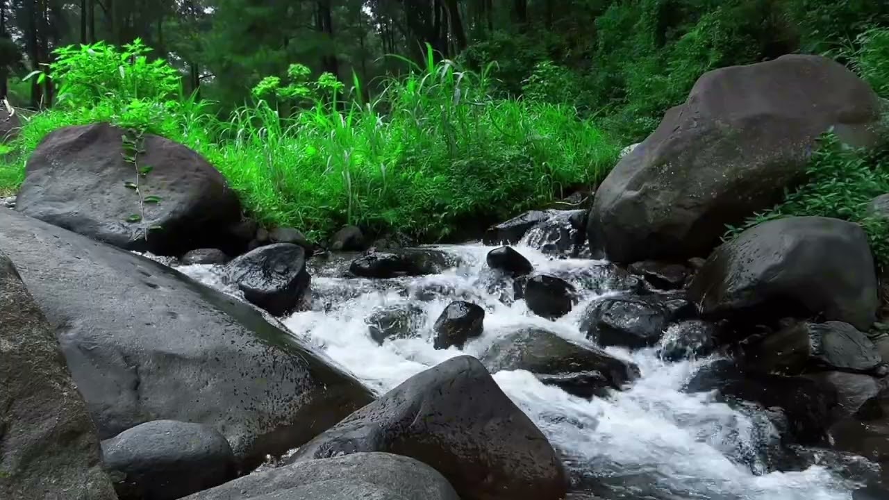 Relaxing Nature Ambience Meditation | Soothing Nature Sounds for Deep Sleep | No Bird