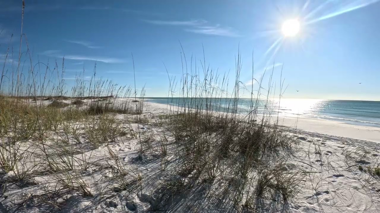Emerald Coast 4K Beach (3 hrs+) 🌊 Wind Through Sea Oats & Empty White Sand | Relaxing Ocean Ambience