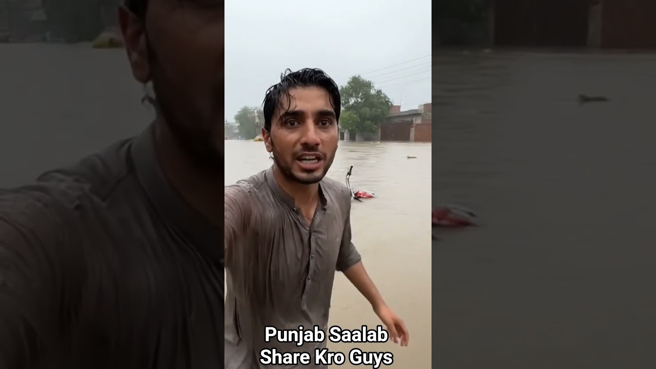 Punjab Flood Punjab Salab New Update Punjab salab.#punjabfloods #salab #viralshort