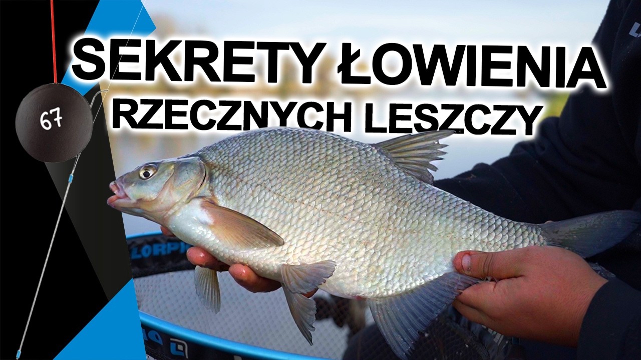Wędkarstwo spławikowe na rzece – jak łowić duże leszcze