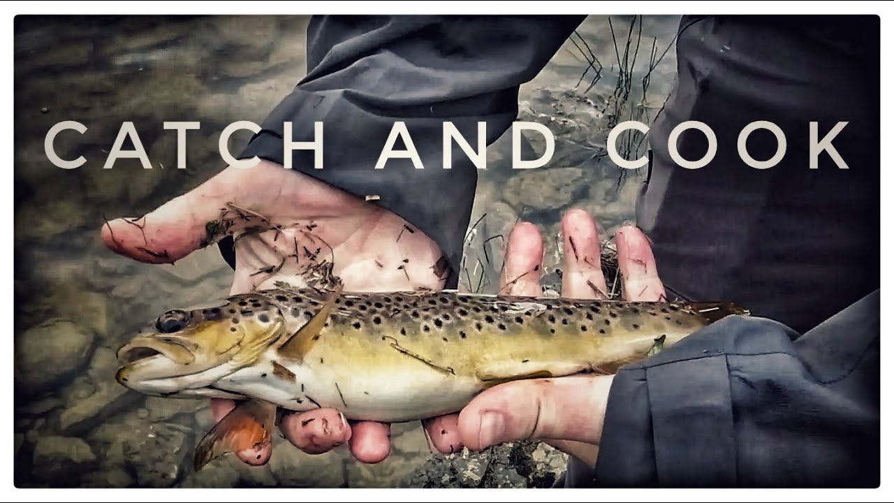 Fishing for wild brown trout and cooking them on the camp fire / Wild camping