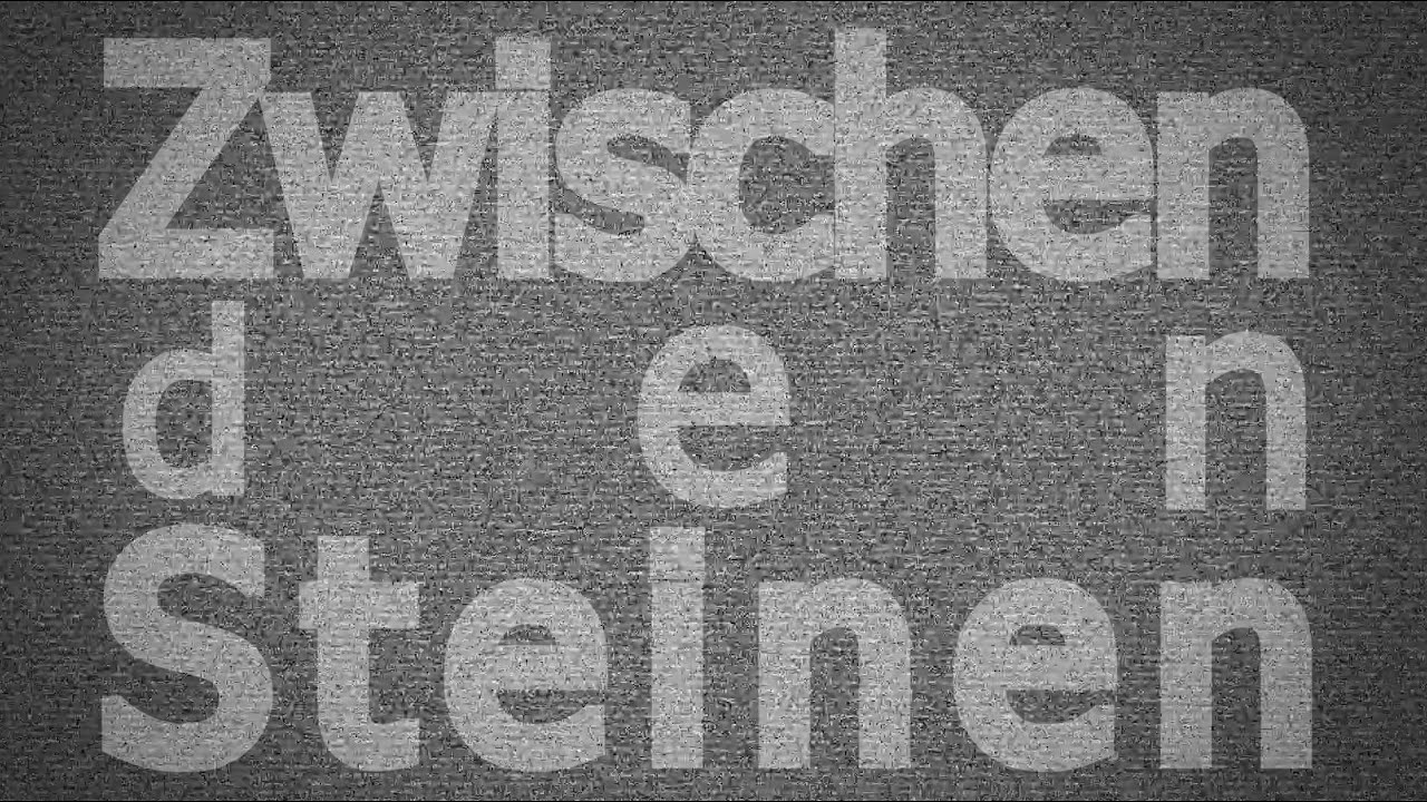 Zwischen den Steinen