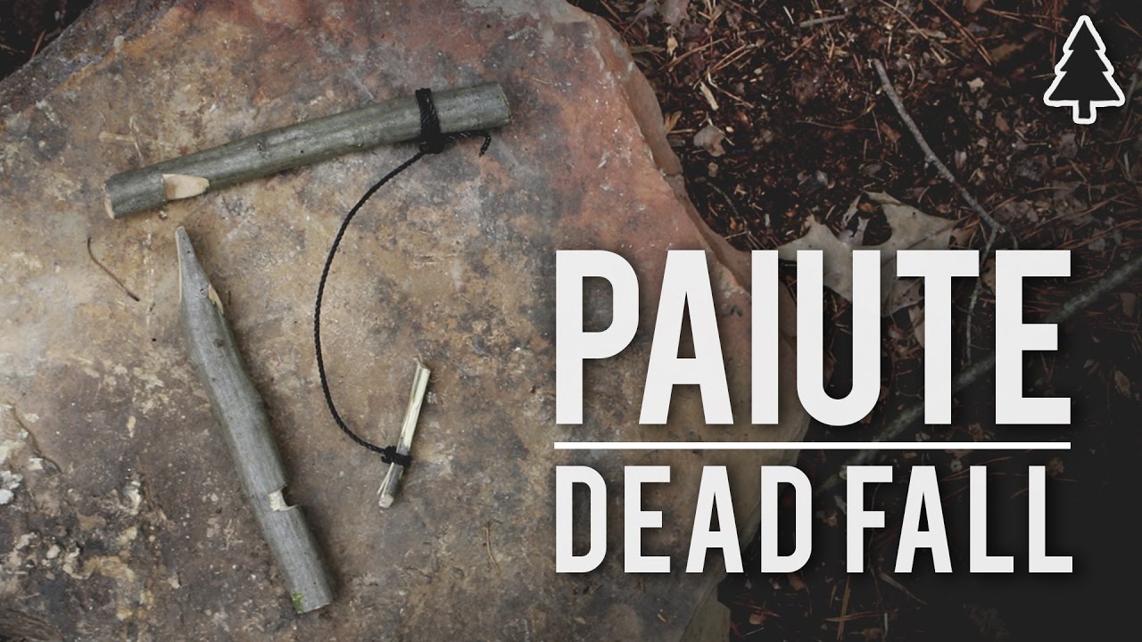 Paiute Deadfall - Bushcraft